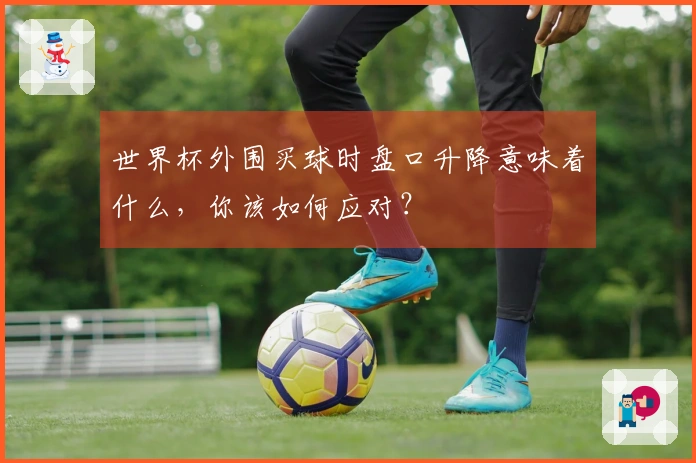 世界杯外围买球时盘口升降意味着什么，你该如何应对？