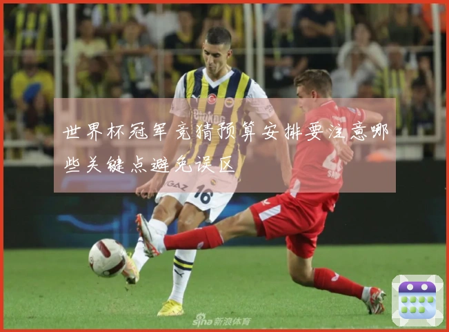 世界杯冠军竞猜预算安排要注意哪些关键点避免误区