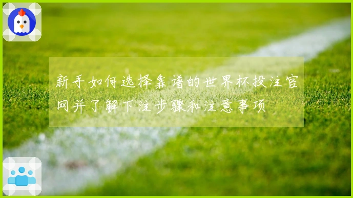 新手如何选择靠谱的世界杯投注官网并了解下注步骤和注意事项
