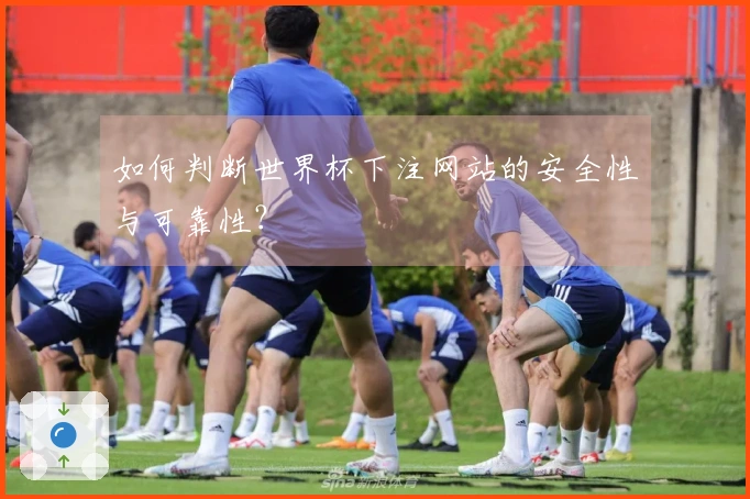 如何判断世界杯下注网站的安全性与可靠性？