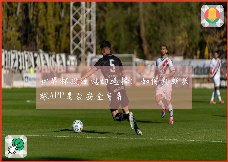 世界杯投注站的选择：如何判断买球APP是否安全可靠