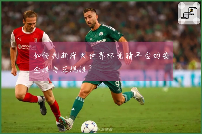 如何判断烽火世界杯竞猜平台的安全性与正规性？