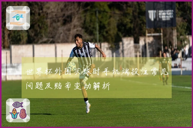 世界杯外围买球时手机端投注常见问题及赔率变动解析