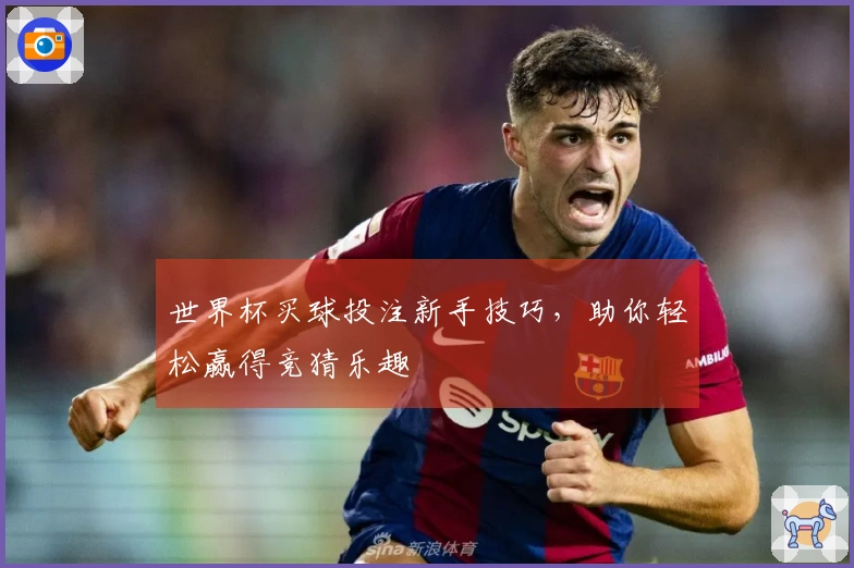 世界杯买球投注新手技巧，助你轻松赢得竞猜乐趣