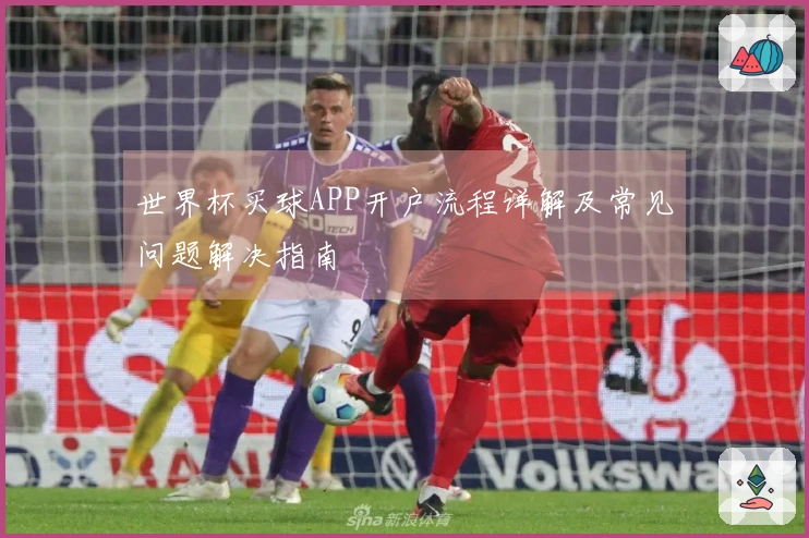 世界杯买球APP开户流程详解及常见问题解决指南