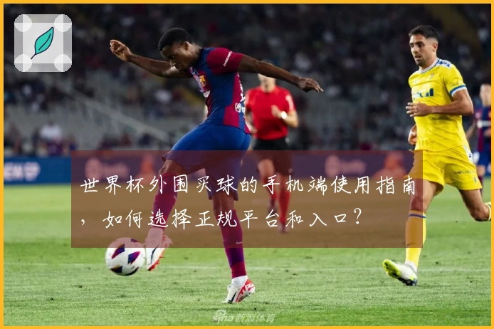 世界杯外围买球的手机端使用指南，如何选择正规平台和入口？