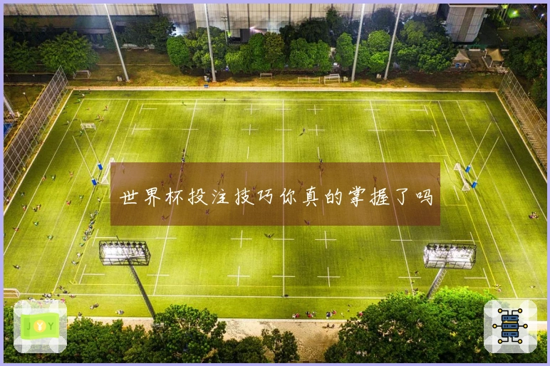 世界杯投注技巧你真的掌握了吗