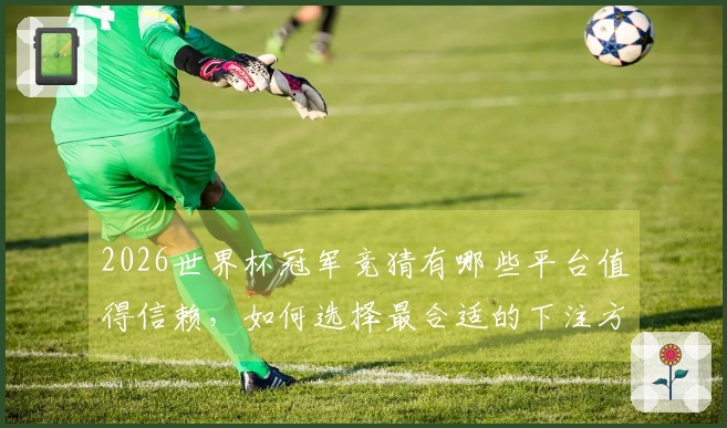 2026世界杯冠军竞猜有哪些平台值得信赖，如何选择最合适的下注方式？