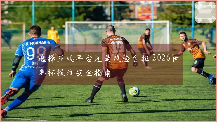 选择正规平台还是风险自担 2026世界杯投注安全指南