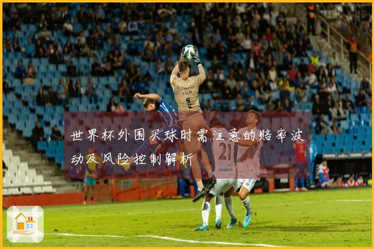 世界杯外围买球时需注意的赔率波动及风险控制解析
