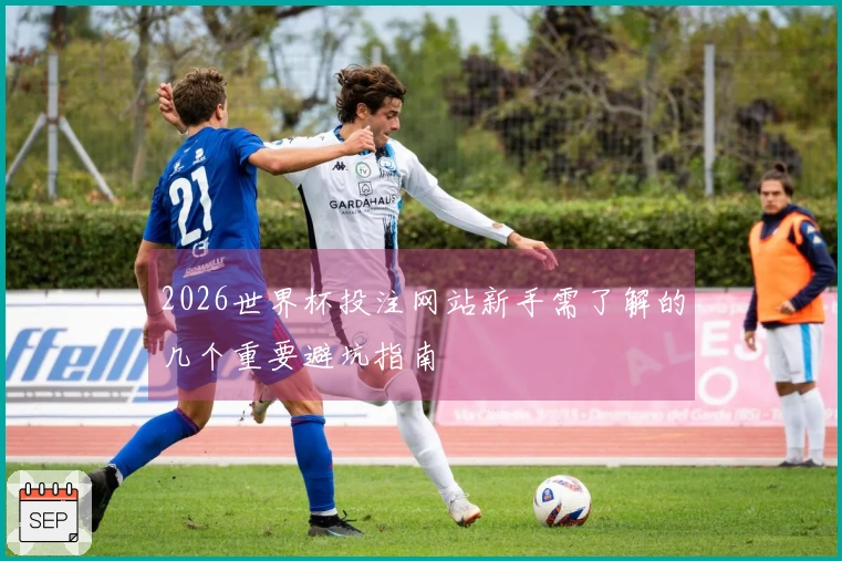 2026世界杯投注网站新手需了解的几个重要避坑指南