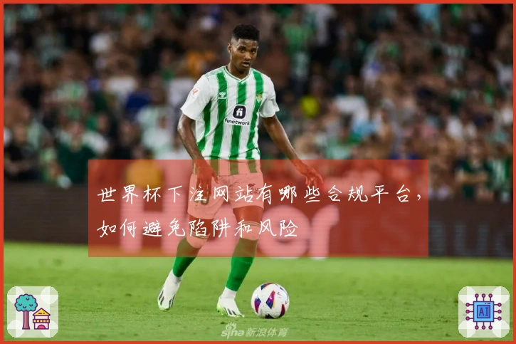 世界杯下注网站有哪些合规平台，如何避免陷阱和风险