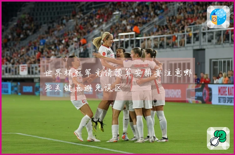 世界杯冠军竞猜预算安排要注意哪些关键点避免误区