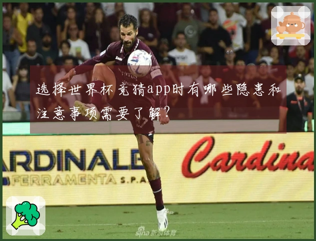 选择世界杯竞猜app时有哪些隐患和注意事项需要了解？