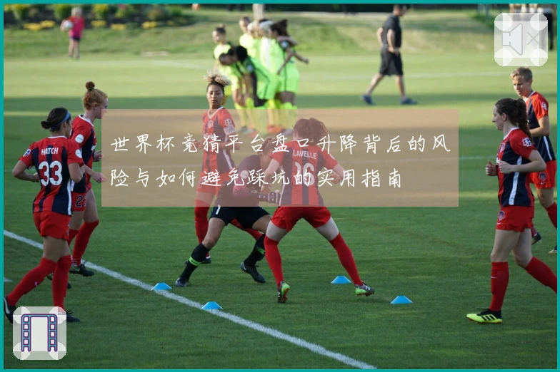 世界杯竞猜平台盘口升降背后的风险与如何避免踩坑的实用指南