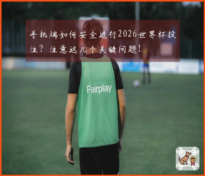 手机端如何安全进行2026世界杯投注？注意这几个关键问题！