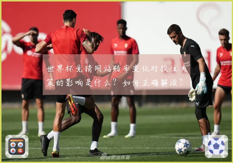 世界杯竞猜网站赔率变化对投注决策的影响是什么？如何正确解读？