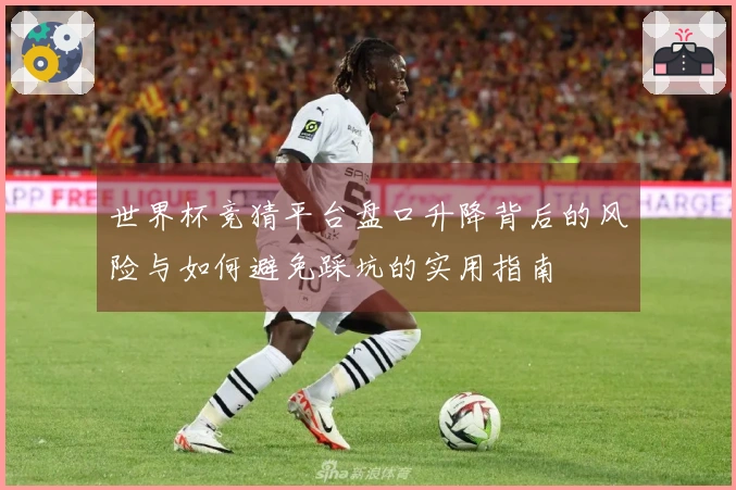 世界杯竞猜平台盘口升降背后的风险与如何避免踩坑的实用指南
