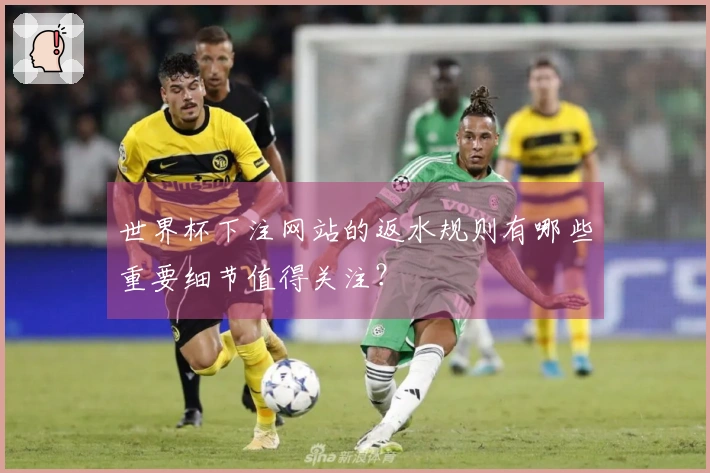 世界杯下注网站的返水规则有哪些重要细节值得关注？