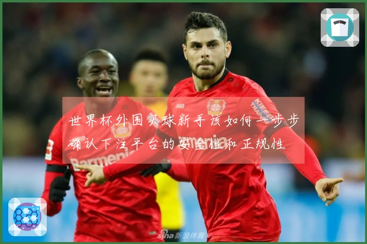 世界杯外围买球新手该如何一步步确认下注平台的安全性和正规性