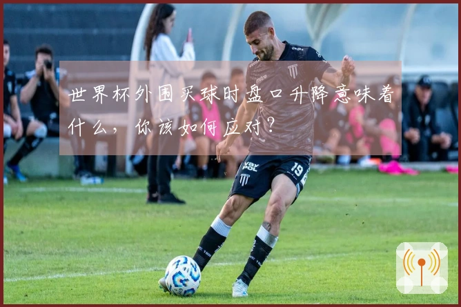 世界杯外围买球时盘口升降意味着什么，你该如何应对？