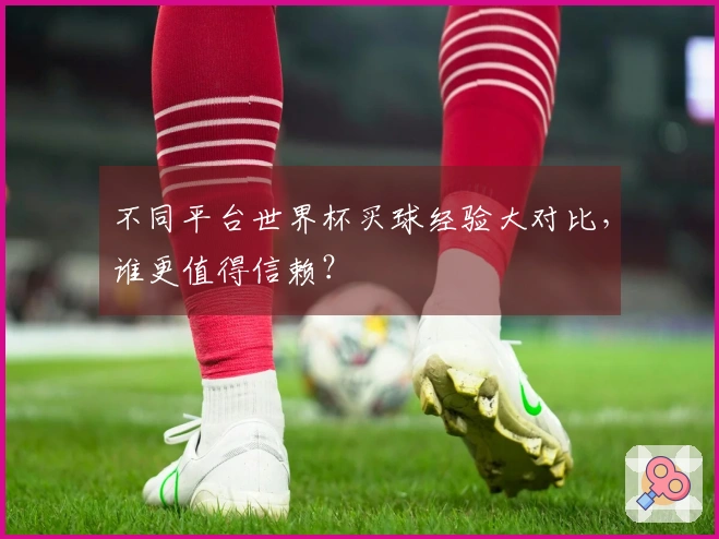 不同平台世界杯买球经验大对比，谁更值得信赖？