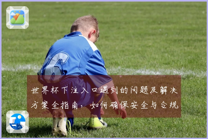 世界杯下注入口遇到的问题及解决方案全指南，如何确保安全与合规性？