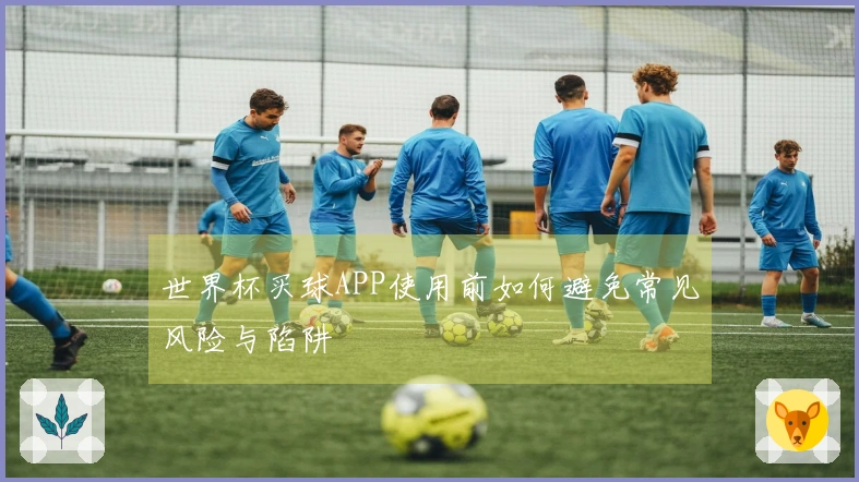 世界杯买球APP使用前如何避免常见风险与陷阱