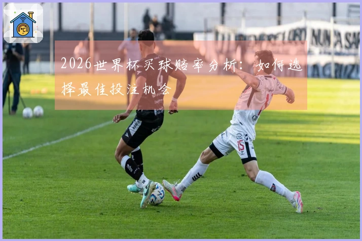2026世界杯买球赔率分析：如何选择最佳投注机会