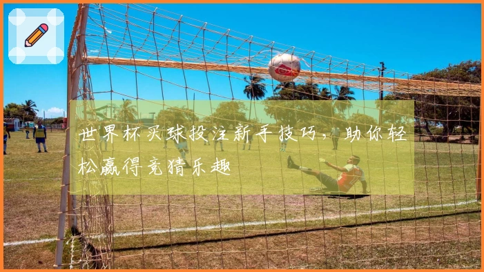世界杯买球投注新手技巧，助你轻松赢得竞猜乐趣