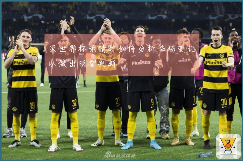 买世界杯竞猜时如何分析临场变化以做出明智判断