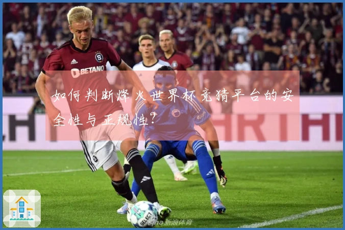 如何判断烽火世界杯竞猜平台的安全性与正规性？