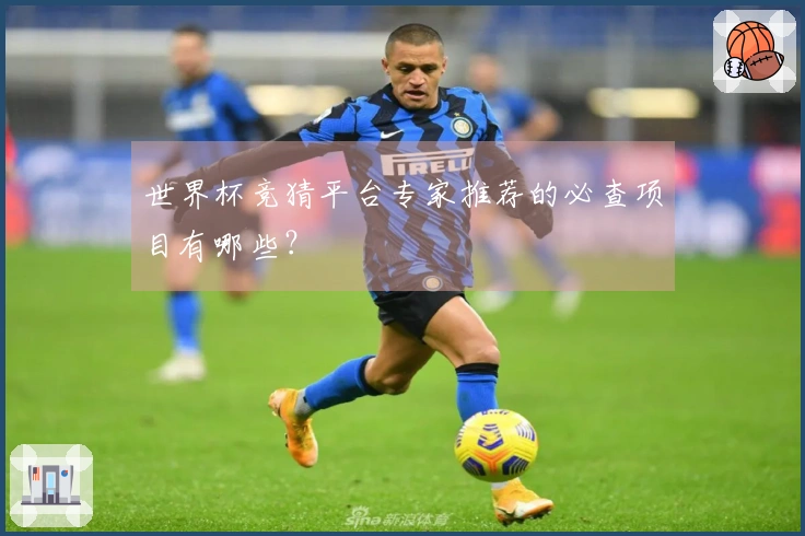 世界杯竞猜平台专家推荐的必查项目有哪些？
