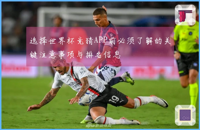 选择世界杯竞猜APP前必须了解的关键注意事项与排名信息