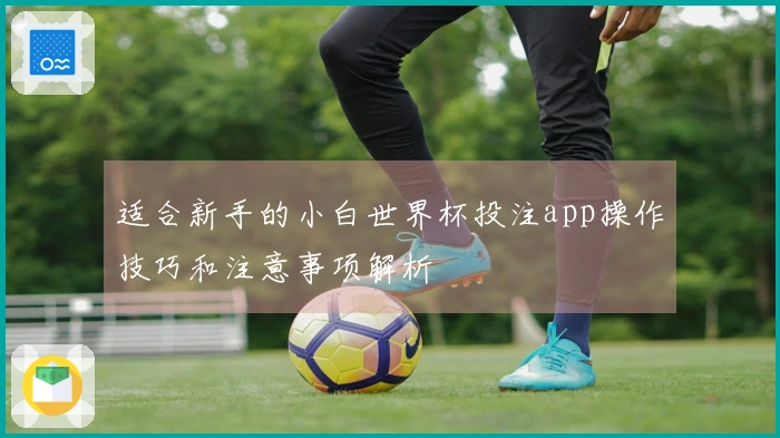 适合新手的小白世界杯投注app操作技巧和注意事项解析